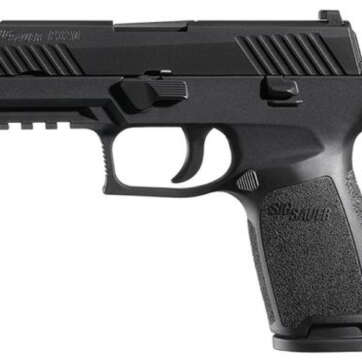 Sig Black Nitron Finish 45 ACP Contrast Sights (2) 10rd Magazines - Handsguns - American Guns & Ammo
