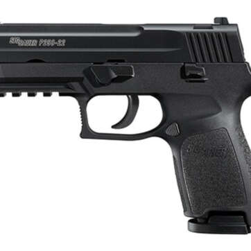 Sig P250 22LR 3.9In Nitron Black DAO Adjustable Sights Modular Polymer Grip (2) 10Rd Poly MAG Sig P250 22LR 3.9In Nitron Black DAO Adjustable Sights Modular Polymer Grip (2) 10Rd Poly MAG - Handsguns - American Guns & Ammo
