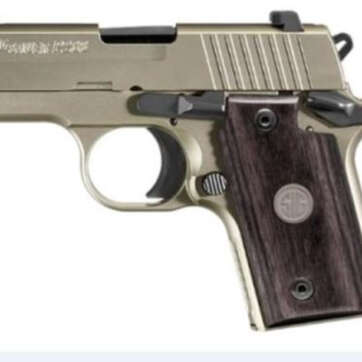 Sig P238 .380 ACP Night Sights 6 Blackwood Grips 6 Rd Mags - Handsguns | American Guns & Ammo