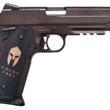 Sig 1911 Air, .177 Cal, 12Gr Co2, Spartan - Air Guns & BB Guns | American Guns & Ammo