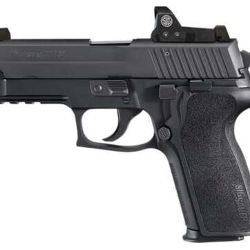 Sig P229 RX 9mm 3.9" Barrel, Romeo1 Reflex Sight, Sig Nite Sites 15rd Mag - Handsguns - American Guns & Ammo