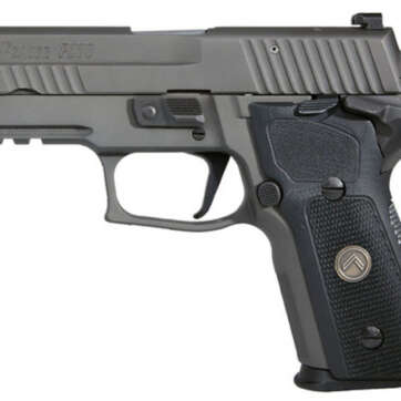 Sig P229 Compact Legion, 9mm, 3.9" Barrel, 10rd, X-Ray3 Sights, Gray PVD - Handsguns - American Guns & Ammo