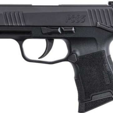 Sig P365 Micro Compact 9mm, 3.1" Barrel, Manual Safety, X-Ray Night Sights, 10rd - Handsguns | American Guns & Ammo