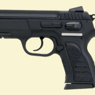 EAA Witness 40SW Polymer Frame, Compact Size, 12 Rd Mags - Handsguns | American Guns & Ammo