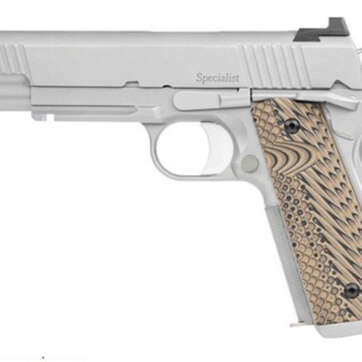 Dan Wesson Specialist 10mm, Tritium Front, Serrated Rear, Stainless Steel, 9rd - Handsguns | American Guns & Ammo