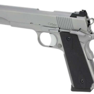 Dan Wesson Valor 10mm 1911 5" Barrel Night Sights, SS Finish 8rd Mag - Handsguns | American Guns & Ammo