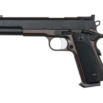 Dan Wesson Bruin 10mm, 6" Barrel, Bronze/Black,, rd, 8 rd - Handsguns | American Guns & Ammo