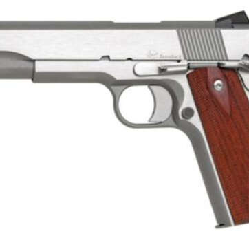 Dan Wesson RZ-10 cal. 10mm, 5" Barrel SS Rubber Grips,Tactical Fixed Sights - Handsguns | American Guns & Ammo