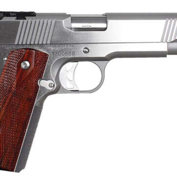 Dan Wesson Pointman Nine 9mm, Adj. Sights, FO front, 9rd Mags - Handsguns | American Guns & Ammo