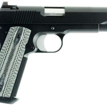 Dan Wesson Valor 10mm, 5" Barrel, Black G10 Grips, 8rd, Stainless Steel - Handsguns | American Guns & Ammo