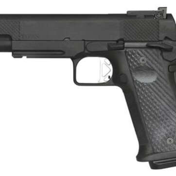 Dan Wesson Elite Series Titan 10mm, Black, Adj. Tritium Sights Rail, 13rd Mags - Handsguns | American Guns & Ammo