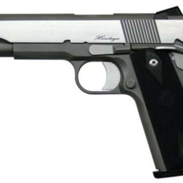 Dan Wesson Razorback RZ-45 Heritage 45 ACP, SS, Night Sights, 8rd - Handsguns | American Guns & Ammo