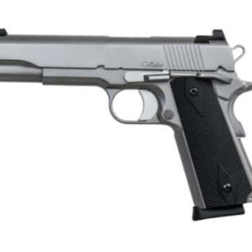 Dan Wesson Valor 45 ACP, Stainless, Tactical 2 Dot Tritium Sights, 8rd Mags - Handsguns | American Guns & Ammo