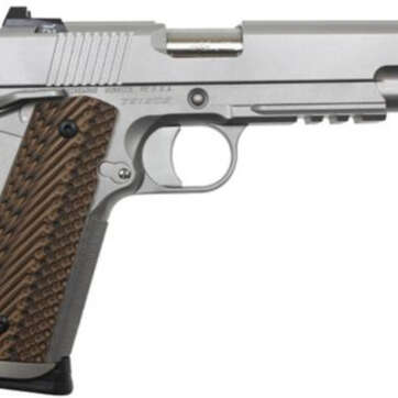 Dan Wesson Specialist 45 ACP, 5" Barrel, Stainless Stell, G-10 VZ II Grips, Night Sights - Handsguns - American Guns & Ammo