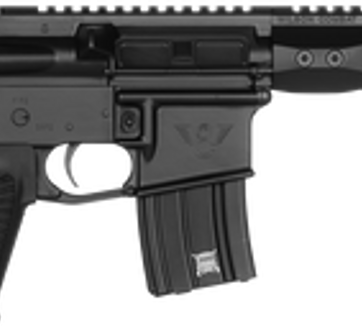 Wilson Combat Protector AR Pistol, .300 HAM'R, 11.3", 20rd, Tailhook Brace, Black - Handsguns | American Guns & Ammo