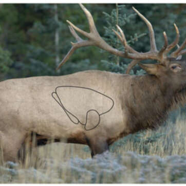 Birchwood Casey Eze-Scorer Elk Target, 23x35", 100/Case - Competition Guns | American Guns & Ammo