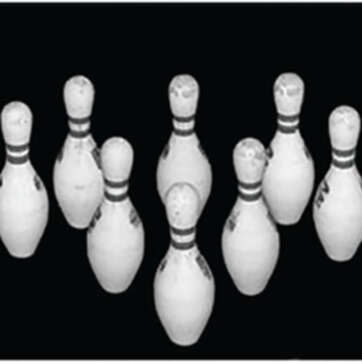 Looper Law Enforcement Bowling Pin Targets Black and White Photo-Target with 10 Bowling Pins, Size 28x20", 100/Pack - Competition Guns - American Guns & Ammo