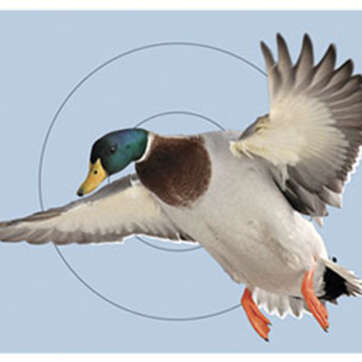 Birchwood Casey Dirty Bird PreGame Animal Targets Duck, 12x18", 8/Package - Competition Guns - American Guns & Ammo