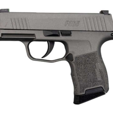 Sig P365 Tungsten Gray 9mm, 3" Barrel, Sig XRay3 Night Sights, 10rd Mag - Handsguns | American Guns & Ammo