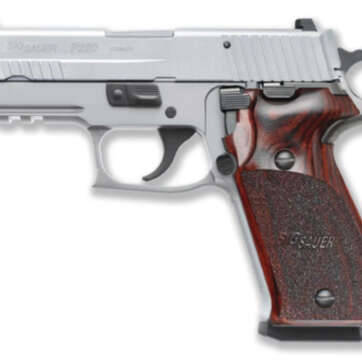 Sig P220 Carry .45FACP Stainless Steel Sig Night Sights - Handsguns | American Guns & Ammo