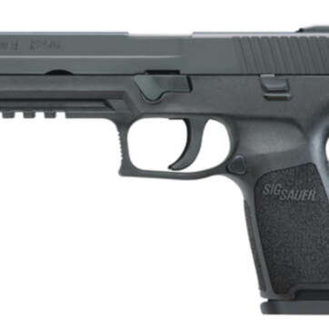 SIG P250 DAO 45ACP 4.7 Barrel Black Nitron Finish Night Sights 10 Round - Handsguns | American Guns & Ammo