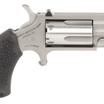 NAA Pug 22 LR,22 Mag 5rd 1" Stainless Steel Black Rubber Grip White-Dot Sights - Handsguns | American Guns & Ammo