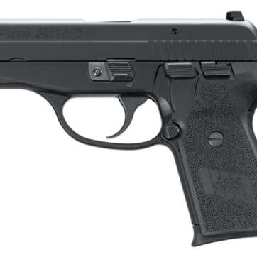 SIG P239 357 SIG 3.6In SAS BLK Da/Sa Siglite Polymer Grip (2) 7RD Steel MAG Dehorned SRT - Handsguns | American Guns & Ammo