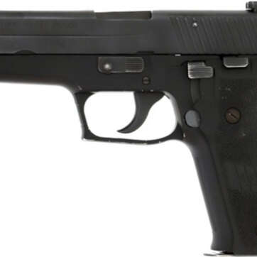 SIG P226 Used 40 S&W Good Condition, 3-12 rd Mags - Handsguns | American Guns & Ammo