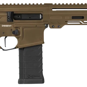 DISSENT - Firearms - American Guns & Ammo