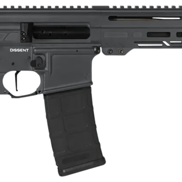 DISSENT - Firearms - American Guns & Ammo