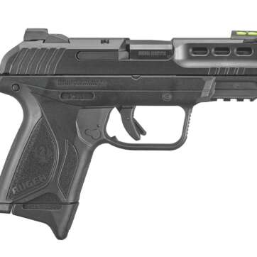 SECURITY 380 - Firearms - American Guns & Ammo