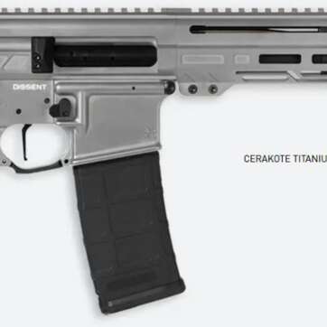 DISSENT - Firearms - American Guns & Ammo