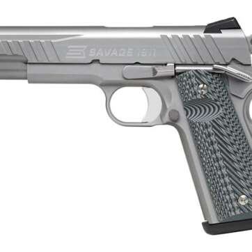 1911 GOVT STAINLESS - Firearms - American Guns & Ammo