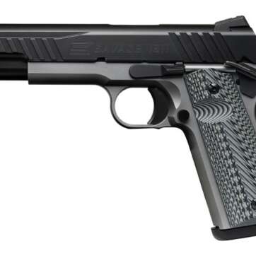 1911 GOVT TWO TONE - Firearms - American Guns & Ammo