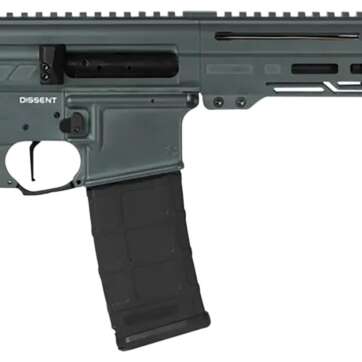 DISSENT - Firearms - American Guns & Ammo