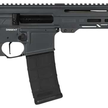 DISSENT - Firearms - American Guns & Ammo