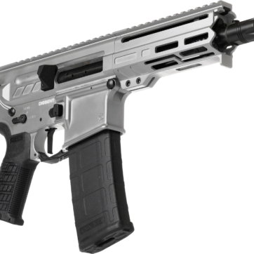 DISSENT - Firearms - American Guns & Ammo