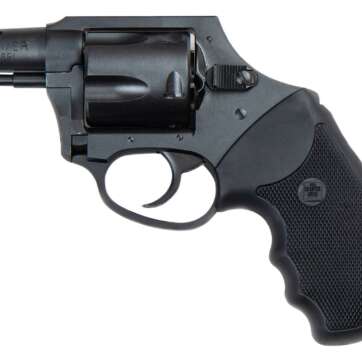Charter Arms Boomer - Revolver | American Guns & Ammo