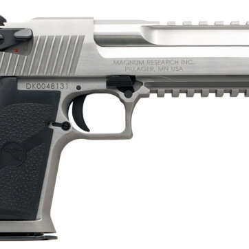 Magnum Research Desert Eagle Mark XIX 429DE 6 in Stainless - Semi Auto Handguns | American Guns & Ammo