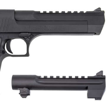 Magnum Research Desert Eagle Mark XIX 50 AE/429 DE 6″ 7+1 - Semi Auto Handguns | American Guns & Ammo