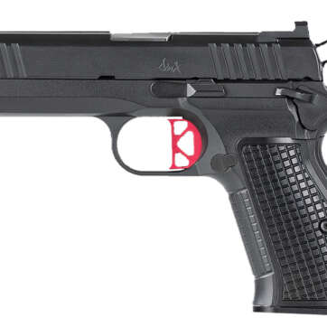 Dan Wesson DWX Compact 9mm 4in 15+1 - Semi Auto Handguns | American Guns & Ammo