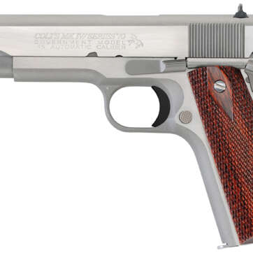 Colt 1911 Government .45 ACP 5-inch Brushed Stainless - Semi Auto Handguns | American Guns & Ammo