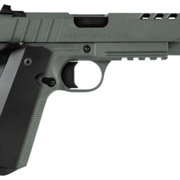 Tisas 1911 Night Stalker .45 ACP 5″ Platinum Grey - Semi Auto Handguns | American Guns & Ammo