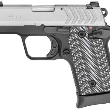 Springfield 911 380 ACP Stainless Gear Up Package with 5 Magazines and Notebook Gun Case - Firearms | American Guns & Ammo