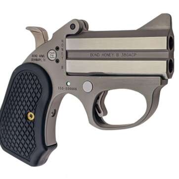 BOND ARMS Honey-B .22 WMR 3″ Stainless Derringer - Derringers | American Guns & Ammo