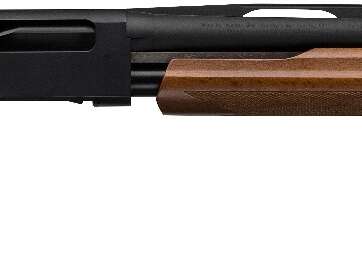 Winchester SXP Youth 20 Gauge 22" Pump Shotgun - Firearms | American Guns & Ammo